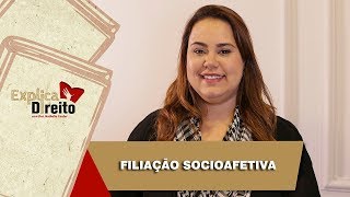 Explica Direito Filiação Socioafetiva  2019 [upl. by Felita]